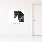 Stallion
