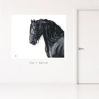 Stallion