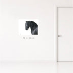Stallion