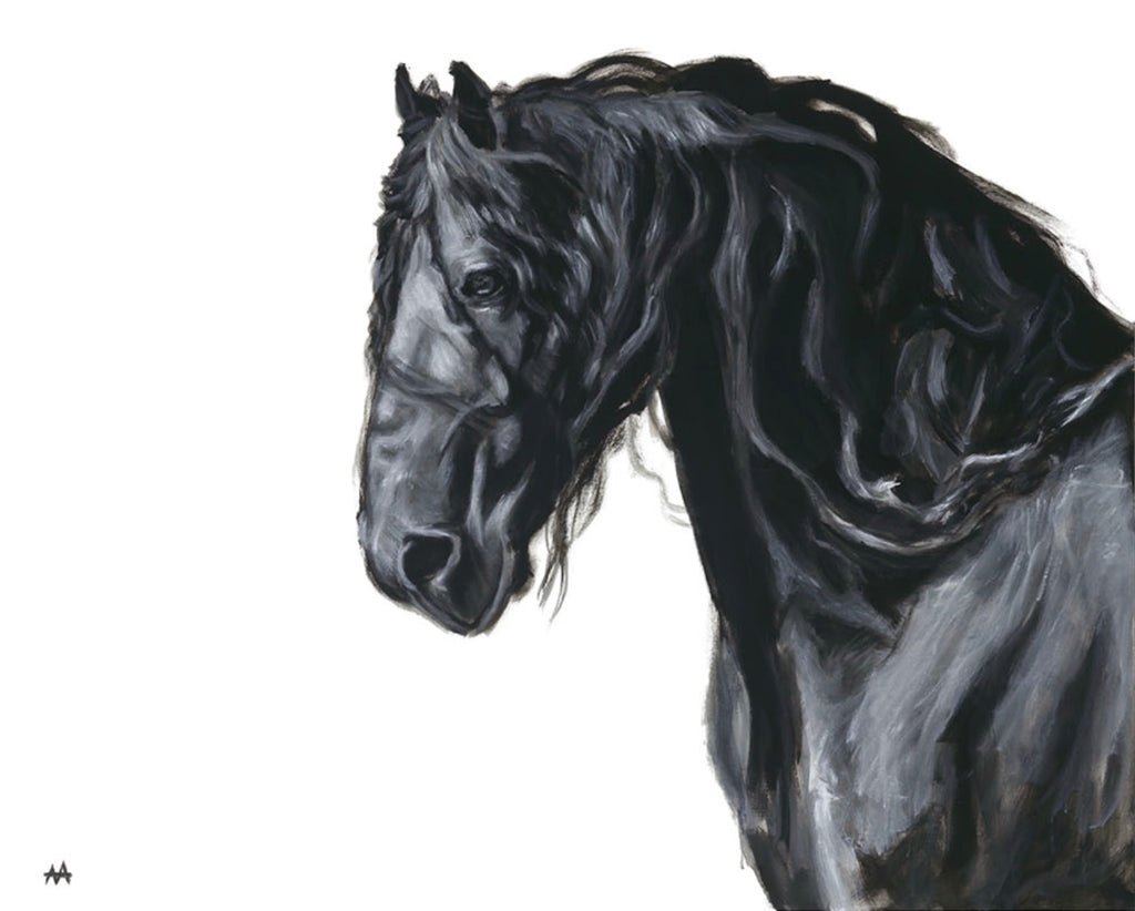 Stallion