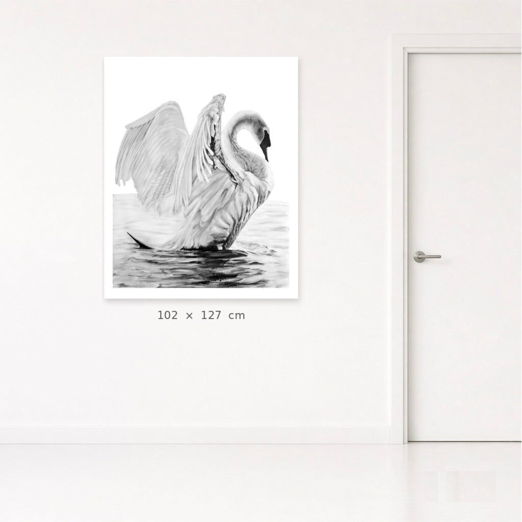 Swans (Her)