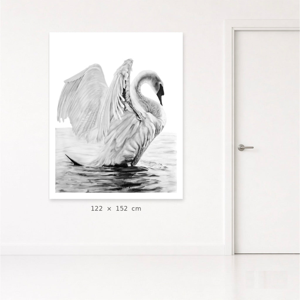 Swans (Her)