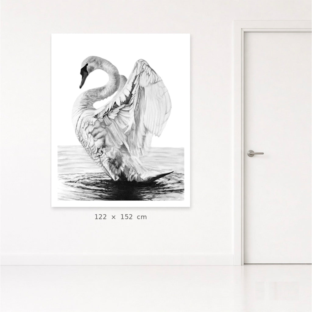 Swans (Him)